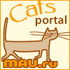 CATS-portal: 
All about cats - breeds list, talking, library, photos etc.