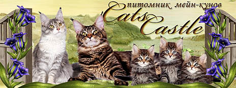 Питомник мейн-кунов Cats Castle